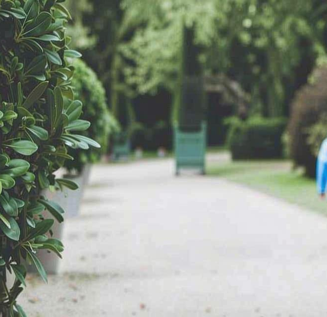 What Does A Non Custodial Parent Mean