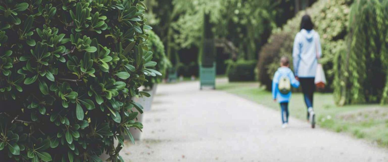 What Does A Non Custodial Parent Mean