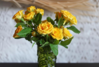 What Do Yellow Roses Signify? Friendship Joy and Hidden Messages