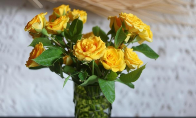 What Do Yellow Roses Signify? Friendship Joy and Hidden Messages