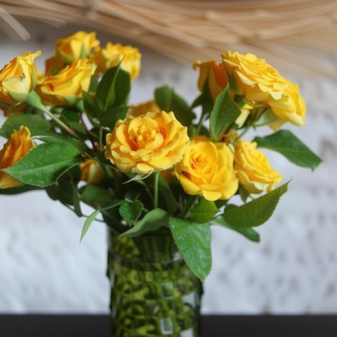 What Do Yellow Roses Signify? Friendship Joy and Hidden Messages