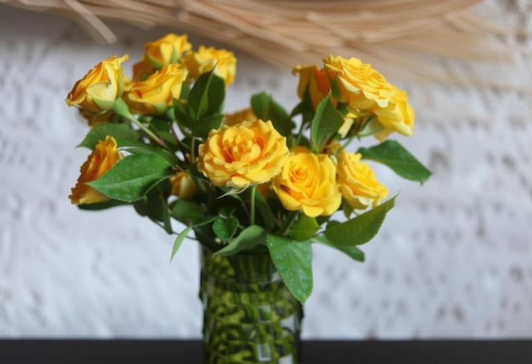 What Do Yellow Roses Signify? Friendship Joy and Hidden Messages