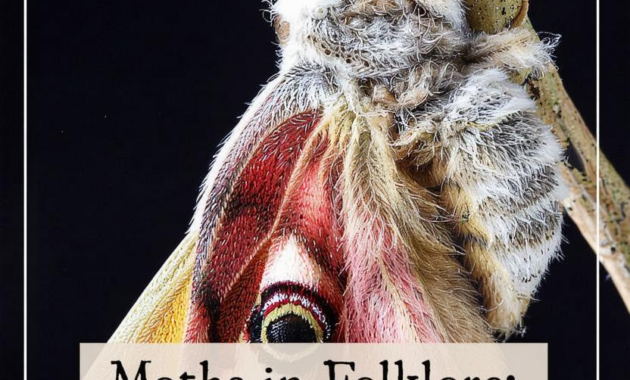 What Do Moths Represent? Spiritual Meaning and Folklore Insights