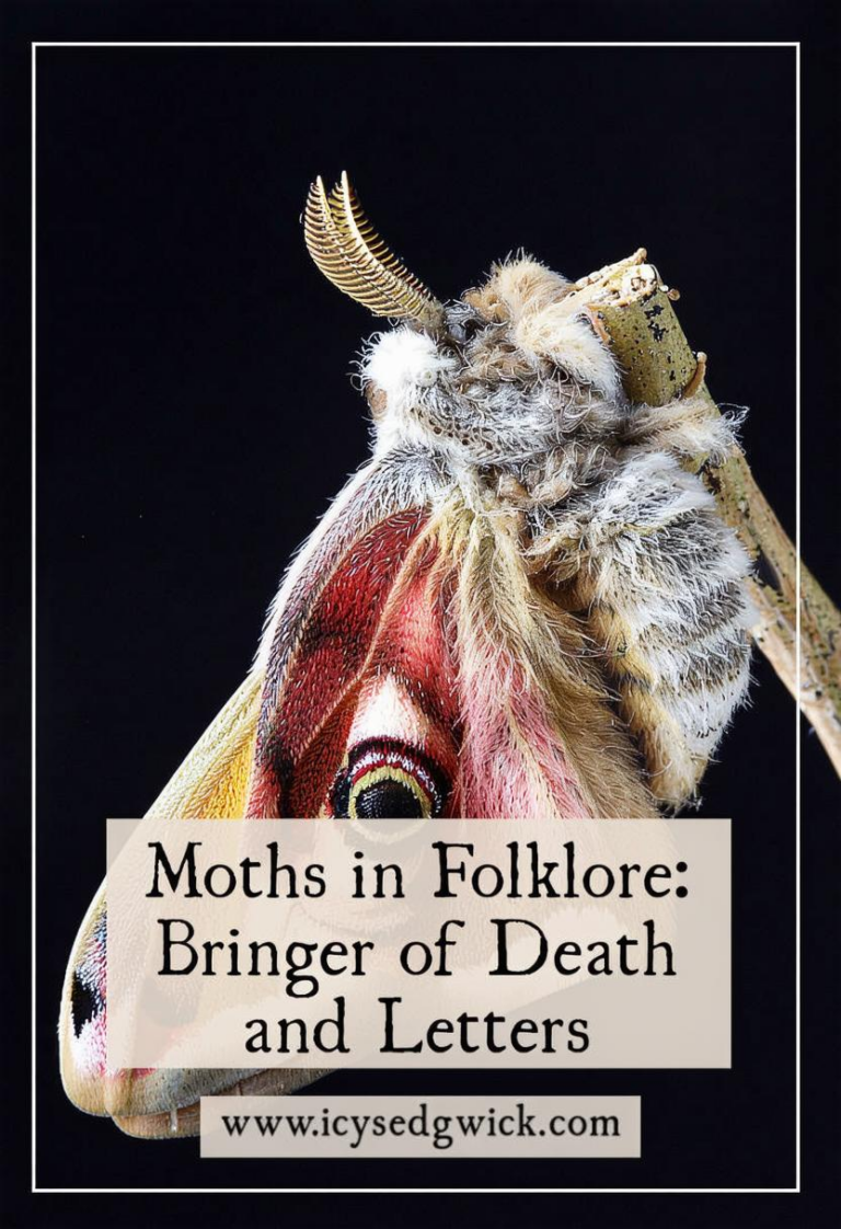 What Do Moths Represent? Spiritual Meaning and Folklore Insights