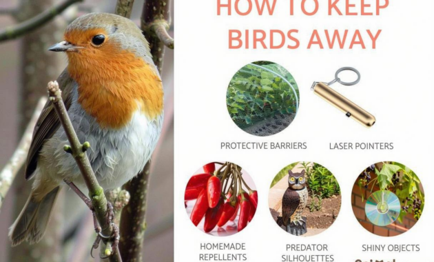 How to Keep Birds Out of Buildings: Humane Prevention Methods