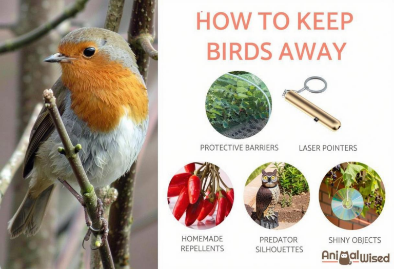 How to Keep Birds Out of Buildings: Humane Prevention Methods
