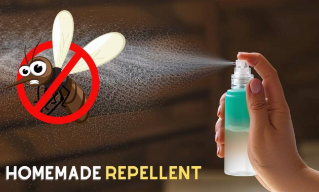 What Do Repellent Insecticides Do? How They Protect Your Home and Garden