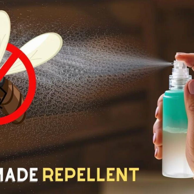 What Do Repellent Insecticides Do? How They Protect Your Home and Garden
