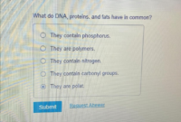 What Do DNA Proteins and Fats Have in Common? Biology Basics Explained