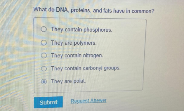 What Do DNA Proteins and Fats Have in Common? Biology Basics Explained