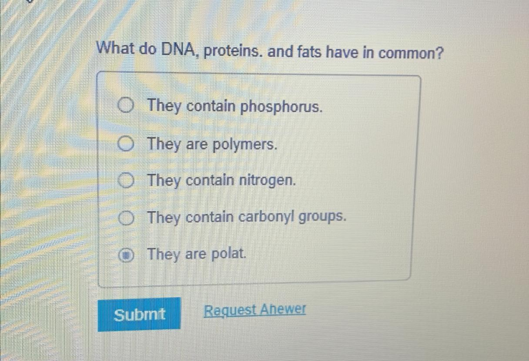 What Do DNA Proteins and Fats Have in Common? Biology Basics Explained
