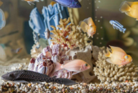 What Do Plecostomus Eat? Aquarium Diet and Tank Care Tips