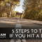 What Do You Do When You Hit a Deer? Safety Steps and Insurance Tips