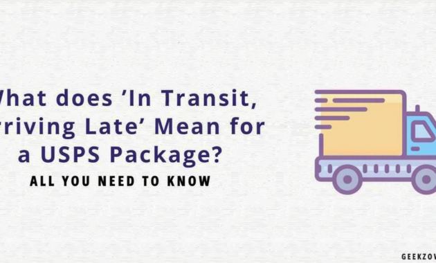 What Does In Transit Arriving On Time Mean