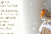 What Do Robins Represent? Hope Renewal and Spiritual Meaning