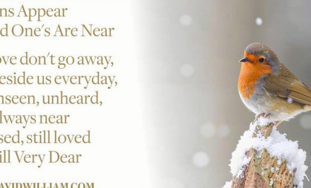 What Do Robins Represent? Hope Renewal and Spiritual Meaning