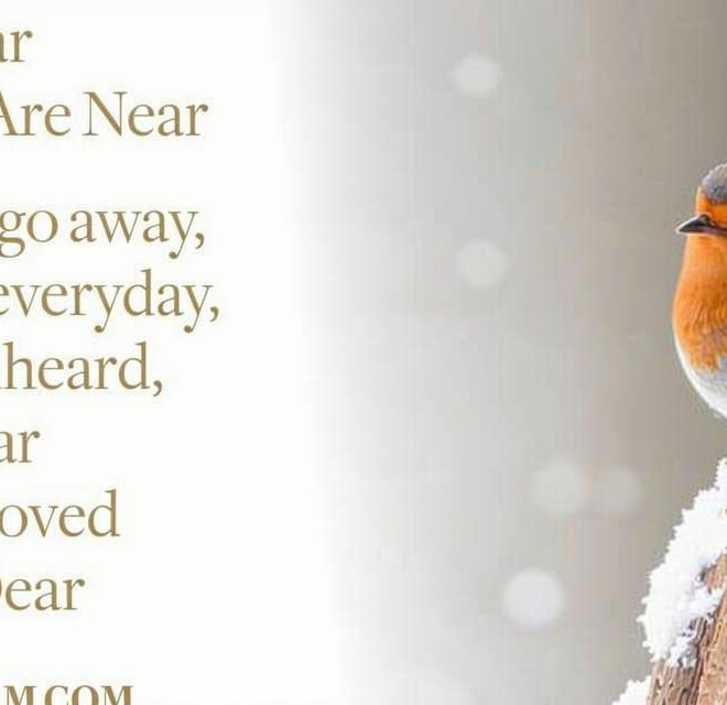 What Do Robins Represent? Hope Renewal and Spiritual Meaning