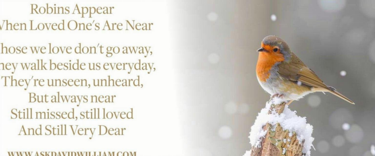 What Do Robins Represent? Hope Renewal and Spiritual Meaning