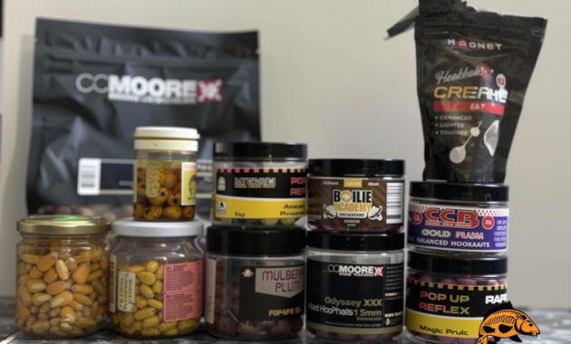 What Do Carp Eat? Natural Diets and Fishing Bait Tips