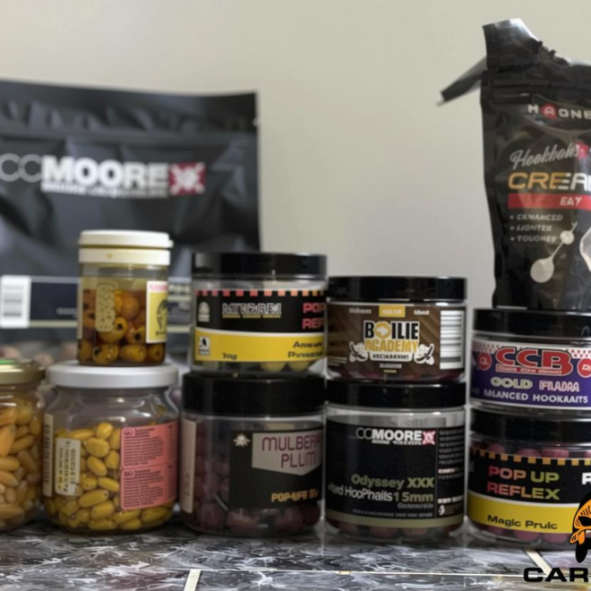 What Do Carp Eat? Natural Diets and Fishing Bait Tips