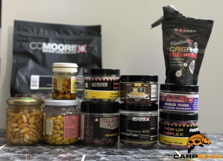 What Do Carp Eat? Natural Diets and Fishing Bait Tips