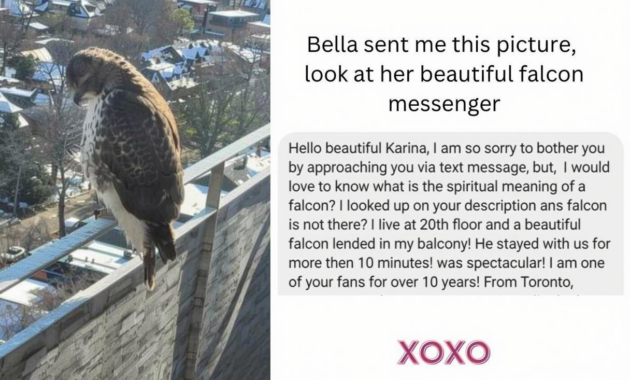 What Do Falcons Represent? Power Vision and Spiritual Meaning