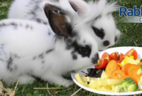 What Vegetables Do Rabbits Eat? Safe Greens and Feeding Tips