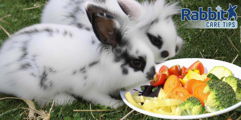 What Vegetables Do Rabbits Eat? Safe Greens and Feeding Tips