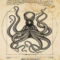 What Do Octopuses Symbolize? Intelligence Mystery and Adaptation