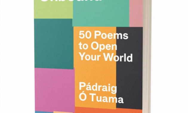 What Do Questions Do in Poetry? Padraig Ó Tuama’s Insight Explained