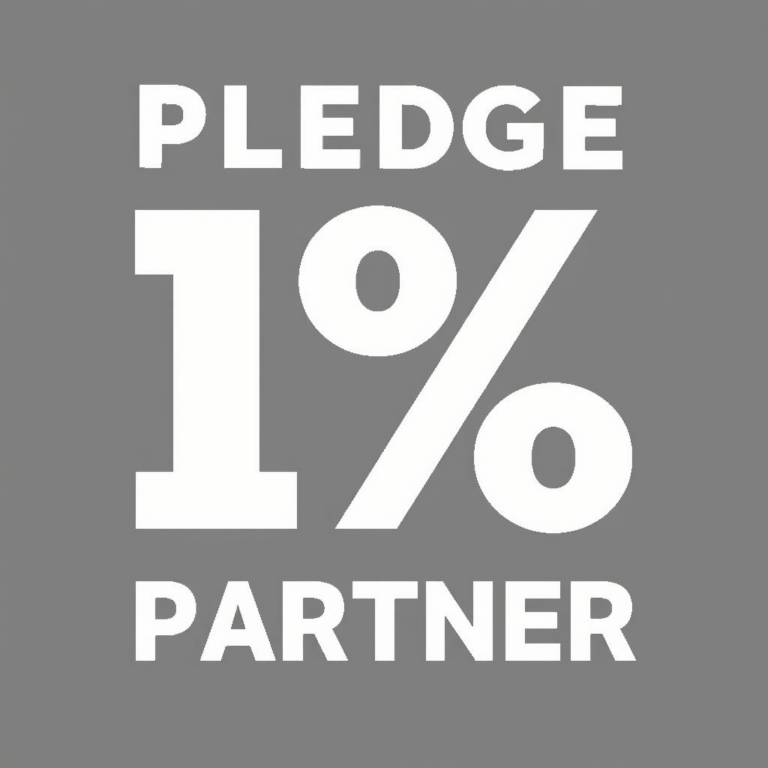 What Does Corporate Social Investment Mean