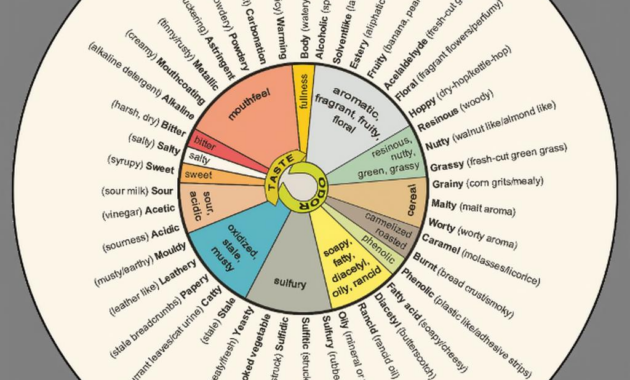 What Do Beers Taste Like? A Beginner’s Guide to Beer Flavors