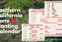 What Planting Zone Is Southern California? Easy Guide