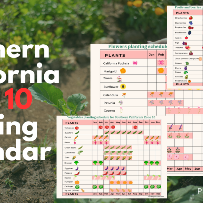 What Planting Zone Is Southern California? Easy Guide