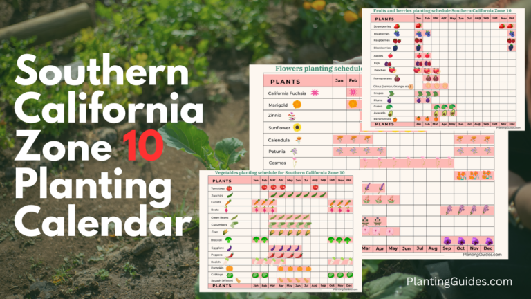 What Planting Zone Is Southern California? Easy Guide
