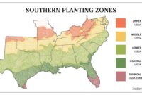 Southern California Planting Zones Explained (USDA Map)