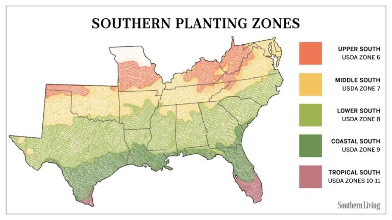 Southern California Gardening Zones Explained (USDA Map)
