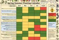 Southern California Planting Calendar: Best Crops Each Season