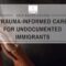 Do Other Nations Provide Care to Undocumented Immigrants?