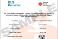 How to Get an American Heart Association BLS Card