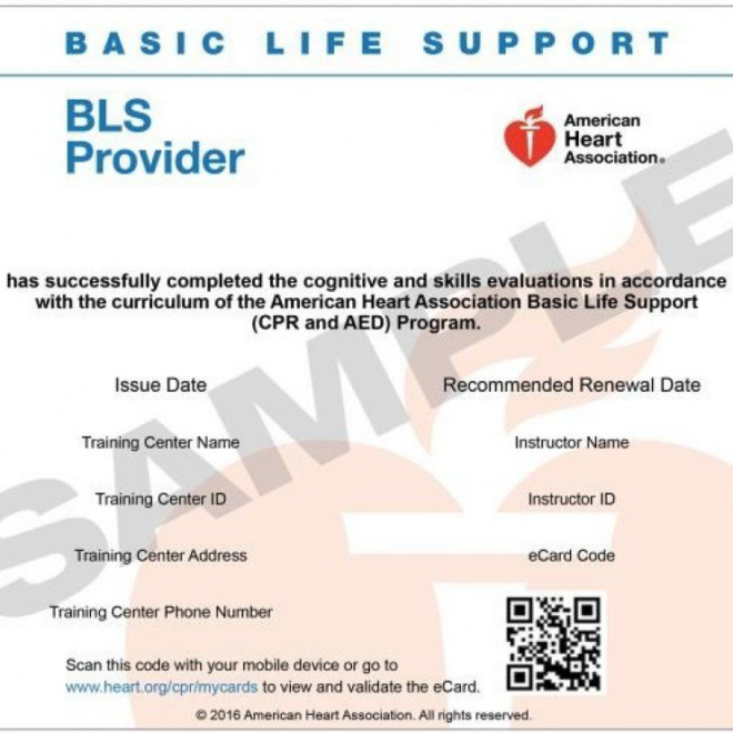 How to Get an American Heart Association BLS Card