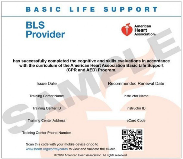 How to Get an American Heart Association BLS Card