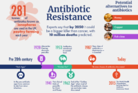 What Can Healthcare Providers Do to Reduce Antibiotic Resistance?