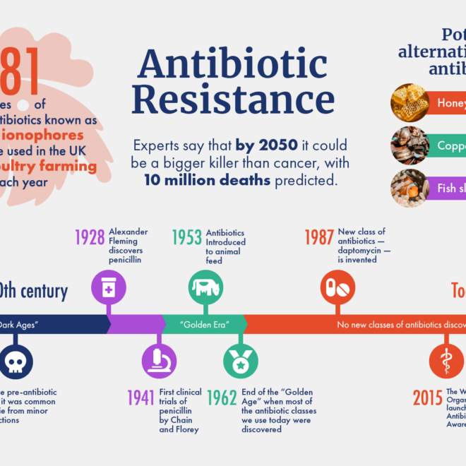 What Can Healthcare Providers Do to Reduce Antibiotic Resistance?