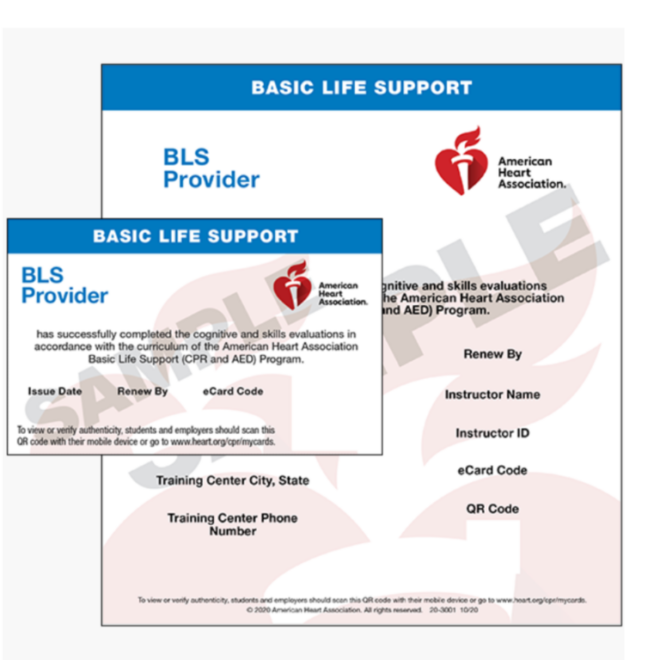 What Does an AHA Healthcare Provider Card Look Like?
