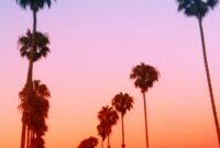 The Surprising Truth About SoCal Palm Trees