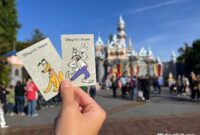 Can You Buy Disney Tickets for Friends? SoCal Rule Explained