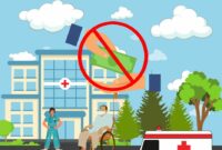 Is “Free Healthcare” Really Free Anywhere?