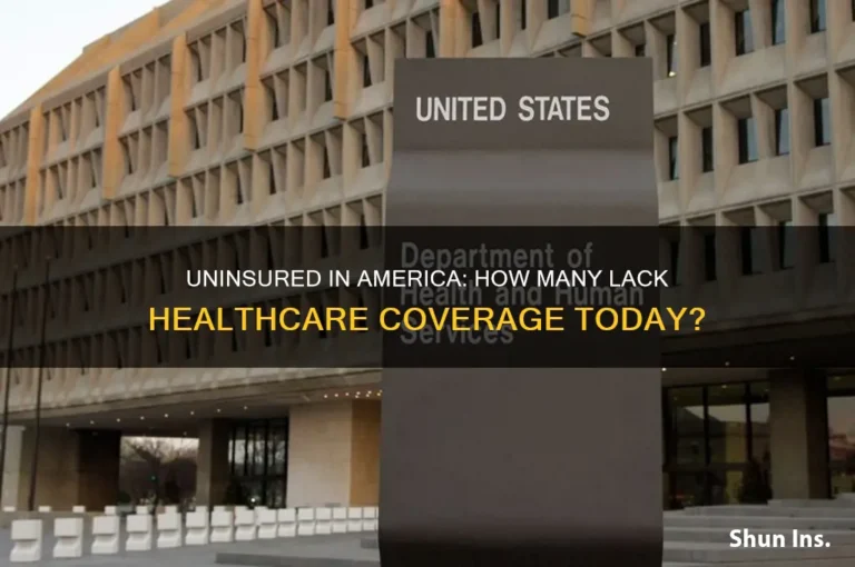 Do All Americans Have Employer-Provided Healthcare?