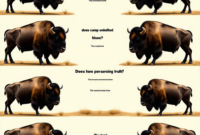 Does Camp Pendleton Really Have Bison? The Surprising Truth